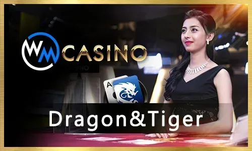 Jilibet bingo bonuses